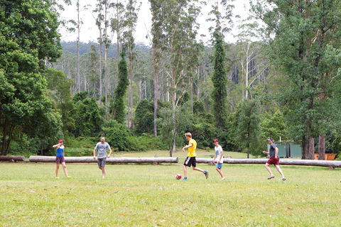 Kerewong State Forest - Australia Accommodation 1