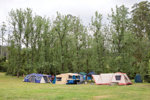 Kerewong State Forest - Australia Accommodation 2