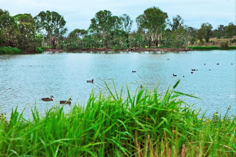 Lake Apex Park - Australia Accommodation 1