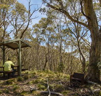 Mount Barrington picnic area - Australia Accommodation