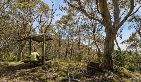 Mount Barrington Picnic Area - Australia Accommodation 0