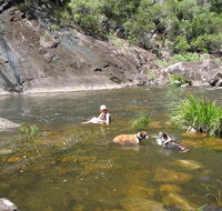 Mount Boss State Forest - Australia Accommodation