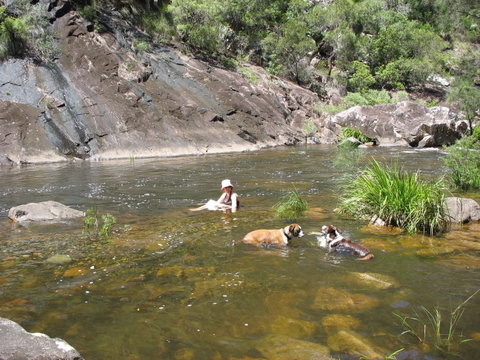 Mount Boss State Forest - Australia Accommodation 0