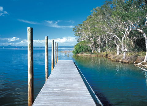 Noosa Everglades - Australia Accommodation 1