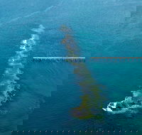 Port Noarlunga Reef Sanctuary Zone - Encounter Marine Park - Australia Accommodation