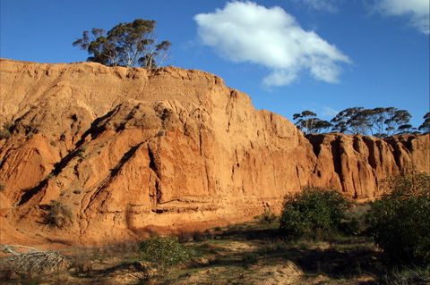 Red Banks Conservation Park - Australia Accommodation 0