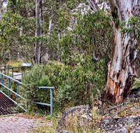 Sawpit Walking Track - Australia Accommodation