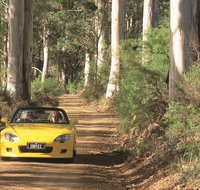 Scotsdale Tourist Drive - Australia Accommodation