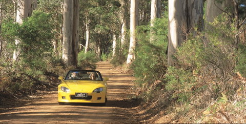 Scotsdale Tourist Drive - Australia Accommodation 0