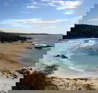 Snorkelling Mystery Bay - Australia Accommodation
