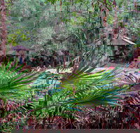 Sugar Creek Picnic Area - Australia Accommodation