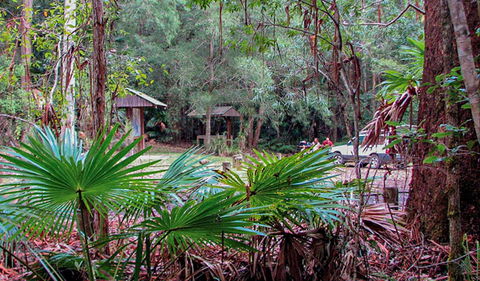 Sugar Creek Picnic Area - Australia Accommodation 0