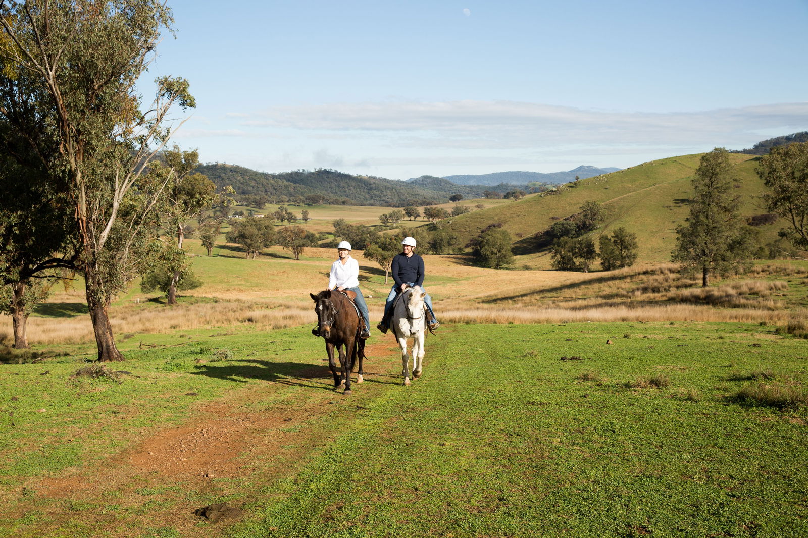 Kootingal NSW Australia Accommodation