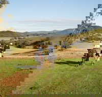 Tamworth and Kootingal Horse Riding Adventures - Australia Accommodation