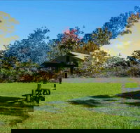 Tunks Hill picnic area - Australia Accommodation