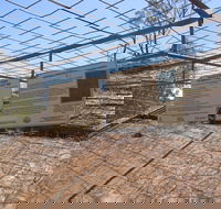Aboriginal Carvings - Australia Accommodation