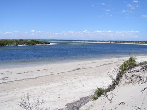 Acraman Creek Conservation Park - Australia Accommodation 0