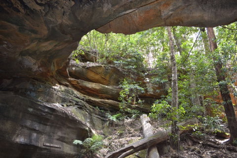 Cave Creek Walking Track - Australia Accommodation 0