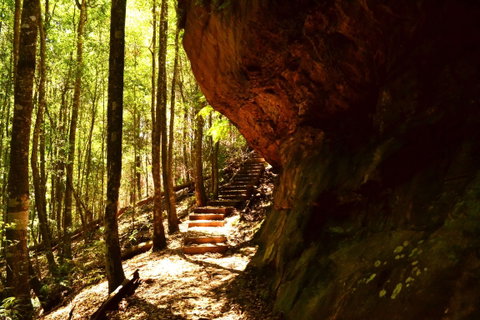 Cave Creek Walking Track - Australia Accommodation 1