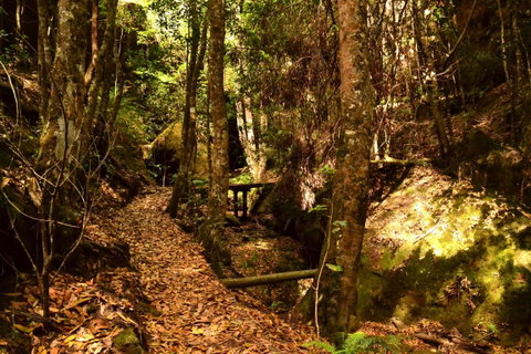 Cave Creek Walking Track - Australia Accommodation 2