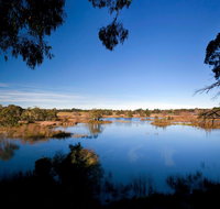 Cecil Hoskins Nature Reserve - Australia Accommodation