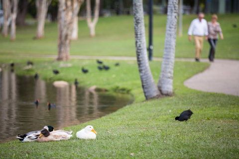 Centenary Lakes Park - Australia Accommodation 2