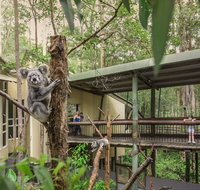Daisy Hill Koala Centre - Australia Accommodation