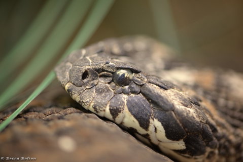 Discover Deadly - Australia Accommodation 0