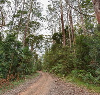 End Peak walking track - Australia Accommodation