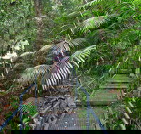 Falls walking track - Australia Accommodation