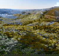 Gold Coast Hinterland Great Walk - Australia Accommodation