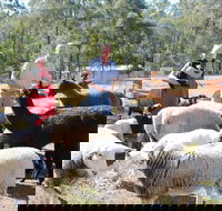 Haigslea EWE Nique Hobby Farm - Australia Accommodation