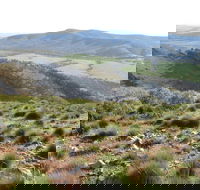 Horseshoe Rim 4WD Adventure Track - Australia Accommodation