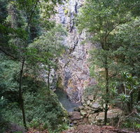 Kondalilla Falls Circuit Kondalilla National Park - Australia Accommodation