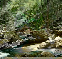 Maleny - Australia Accommodation