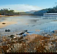 Merrica River Nature Trail - Australia Accommodation