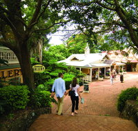Montville - Australia Accommodation