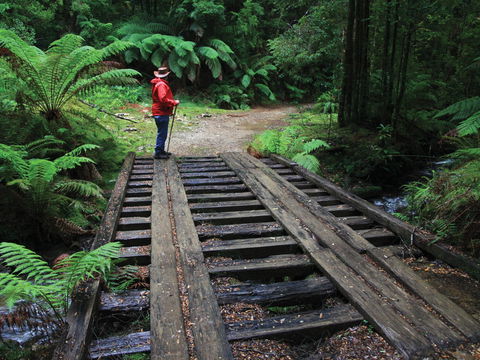 Montezuma Falls - Australia Accommodation 0