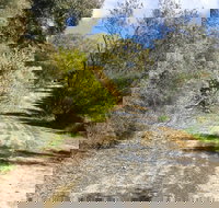 Naracoorte North Nature Park - Australia Accommodation