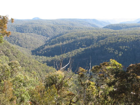 Nattai Gorge Lookout - Australia Accommodation 0