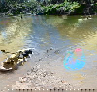 Neurum Creek Campgrounds - Australia Accommodation