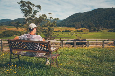 North - North East - Australia Accommodation 0