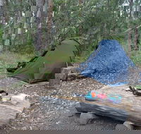 Northbrook Mountain Bush Camp - Australia Accommodation