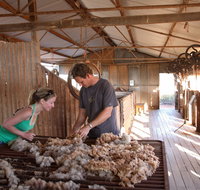 Peron Homestead - Australia Accommodation