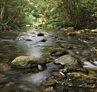 Plateau Circuit Loop Trail - Australia Accommodation