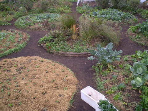 Purple Pear Farm - Australia Accommodation 1