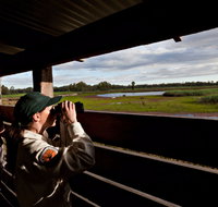 Reed Beds Bird Hide Boardwalk - Australia Accommodation