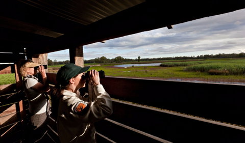 Reed Beds Bird Hide Boardwalk - Australia Accommodation 0