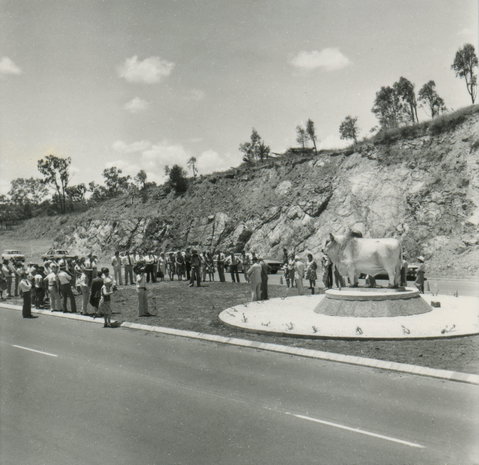 Rockhampton Bull Statues - Australia Accommodation 0