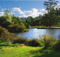 Tasmanian Arboretum Inc. - The - Australia Accommodation